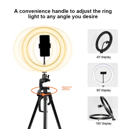 Ring Light modelo 3360 para YouTube y Tik Tok | Con soporte máx. 167 cm y control remoto Bluetooth